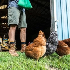 Darn Tough Steely Boot Cushion Socks - Men's -Darn Tough Sales 30ba110e a100 49db 8db6 ad744e343ecd