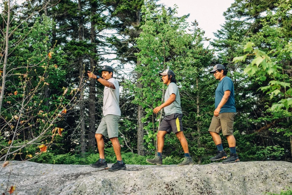 Darn Tough Light Hiker Quarter Lightweight Hiking Socks - Men's 5 Darn Tough Light Hiker Quarter Lightweight Hiking Socks - Men's - Image 5